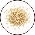 Sesame Seeds