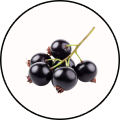 Black Currants