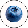 Dried Blueberries