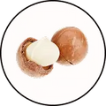 Roasted macadamia