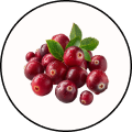 Cranberries