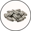 Sunflower Seeds