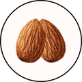 Roasted  Almonds