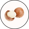 Roasted macadamia