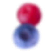 Berry graphic element